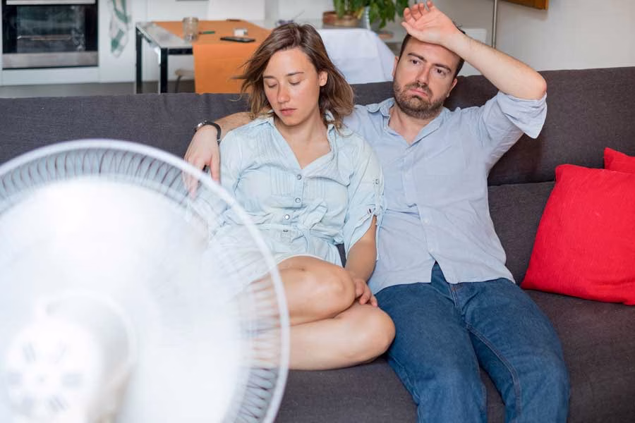 Choose Trusted Dehumidifier Services in Brandon, FL